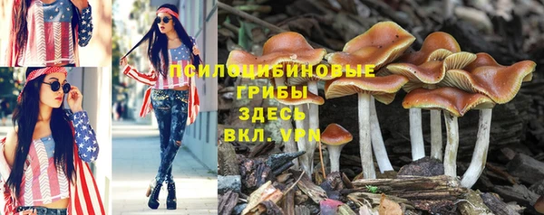 спиды Абинск