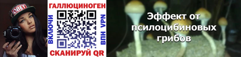 кракен зеркало  Балаково  Псилоцибиновые грибы Psilocybe 