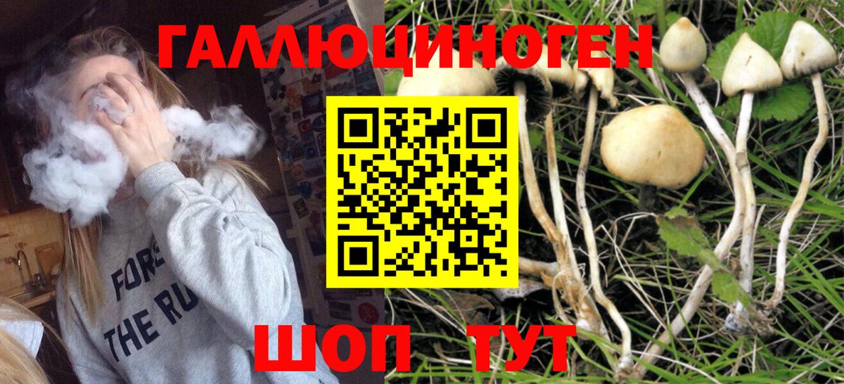 Балаково  Галлюциногенные грибы мухоморы  Вход с VPN  Галлюциногенные грибы Cubensis 