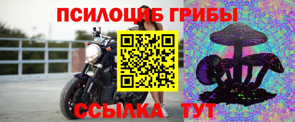 Псилоцибиновые грибы GOLDEN TEACHER Балаково